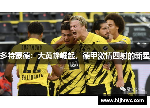 多特蒙德:大黄蜂崛起,德甲激情四射的新星 多特蒙德:大黄蜂崛起,德甲激情四射的新星