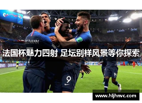 法国杯魅力四射 足坛别样风景等你探索 法国杯魅力四射 足坛别样风景等你探索