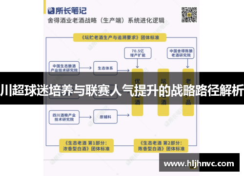 川超球迷培养与联赛人气提升的战略路径解析 川超球迷培养与联赛人气提升的战略路径解析